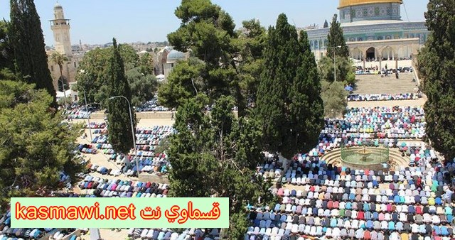  رغم التضييقات: 200 الف مصل في الاقصى في الجمعة الثالثة من رمضان